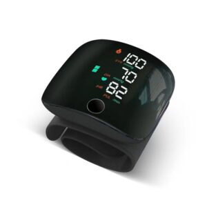 Blood Pressure Monitor WEB306